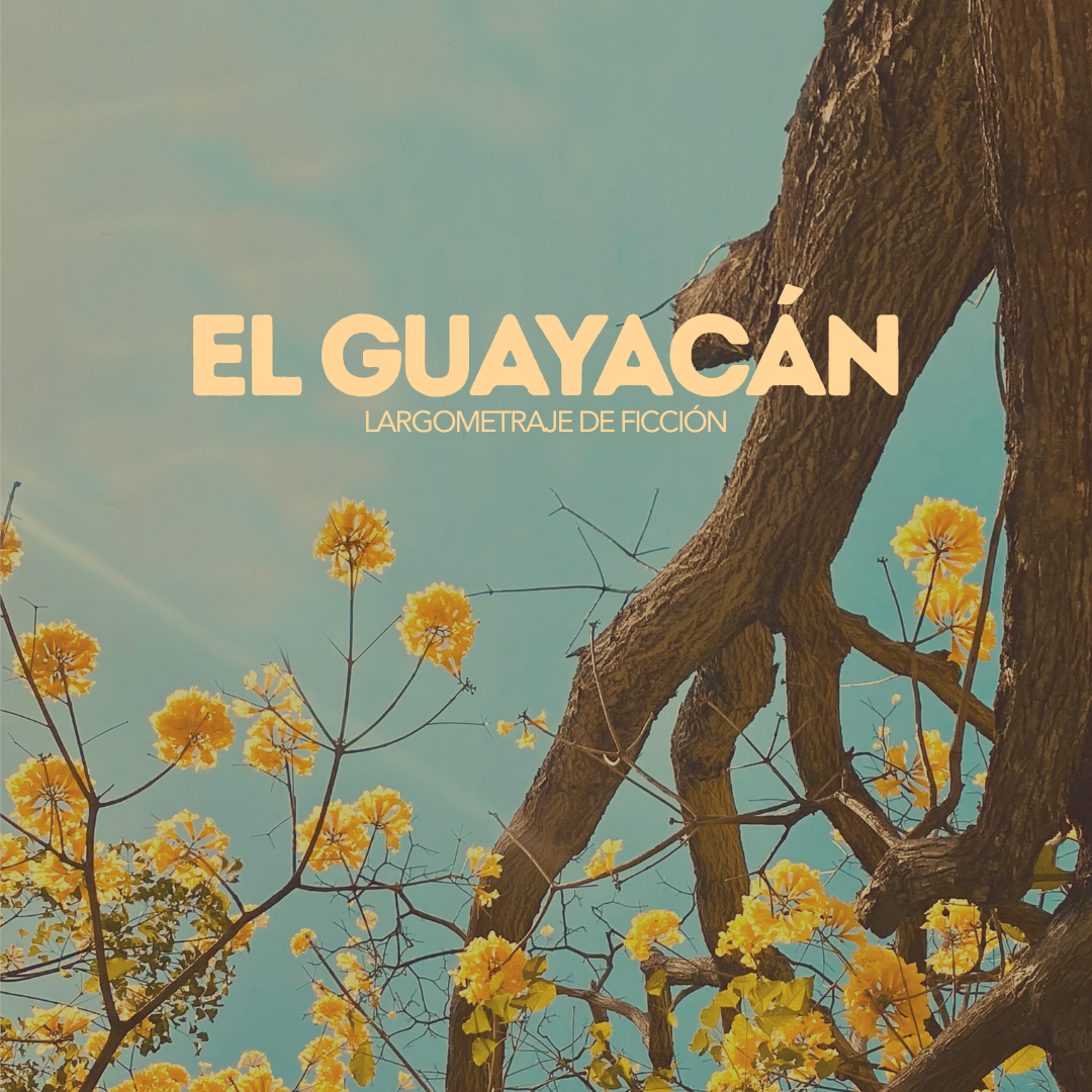 Ficción – imagen